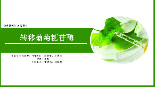 转移葡萄糖苷酶