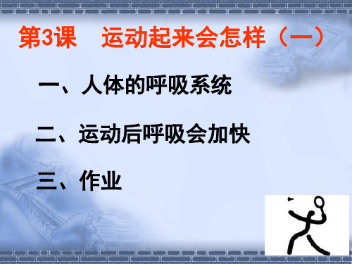 教科小学科学四上《4.3、跳动起来会怎样(一)》PPT课件(2)
