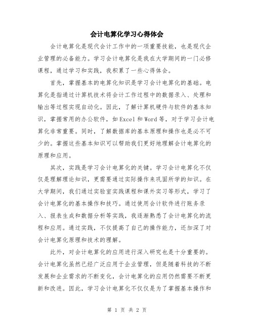 会计电算化学习心得体会