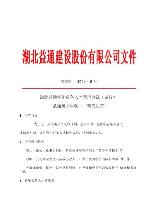青年后备人才管理办法