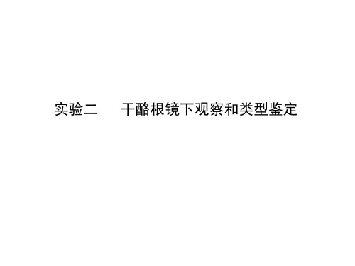 实验二干酪根镜下观察和类型鉴定