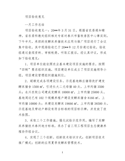 项目验收意见