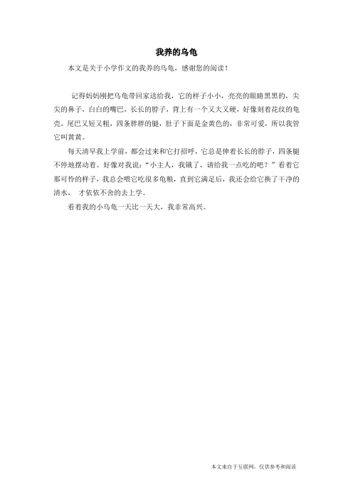 我养的乌龟_小学作文