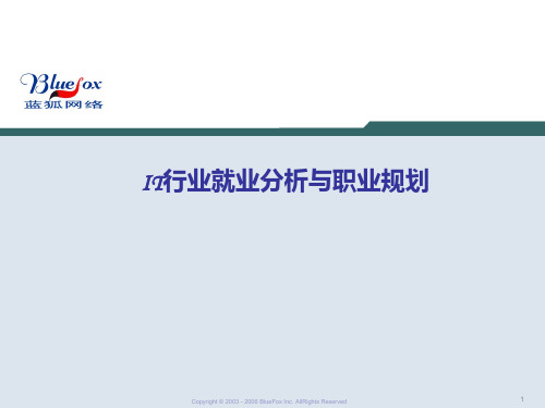 IT就业分析与职业规划 PPT课件