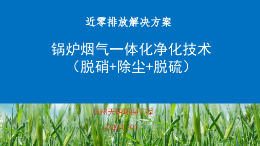 锅炉烟气一体化净化技术PPT