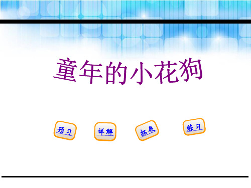 《童年的小花狗》PPT【精选推荐课件】