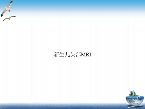 生儿头部MRIPPT培训课件