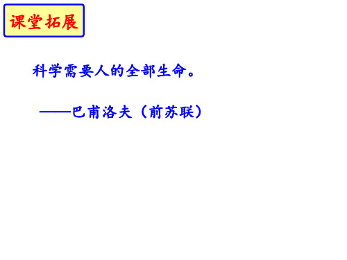 人教部编版八年级语文上册公开课课件：《蝉》