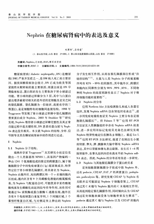 Nephrin在糖尿病肾病中的表达及意义