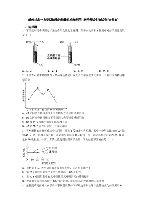 新教材高一上学期细胞的能量供应和利用 单元考试生物试卷(含答案)