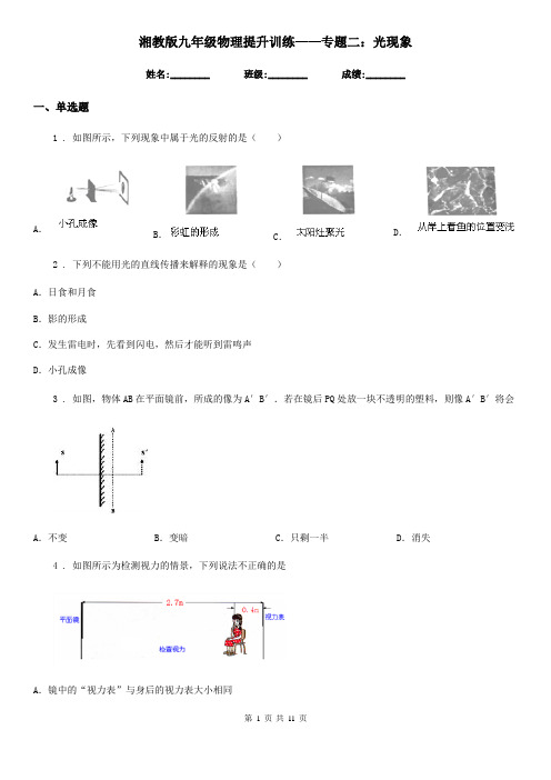 湘教版九年级物理提升训练——专题二：光现象