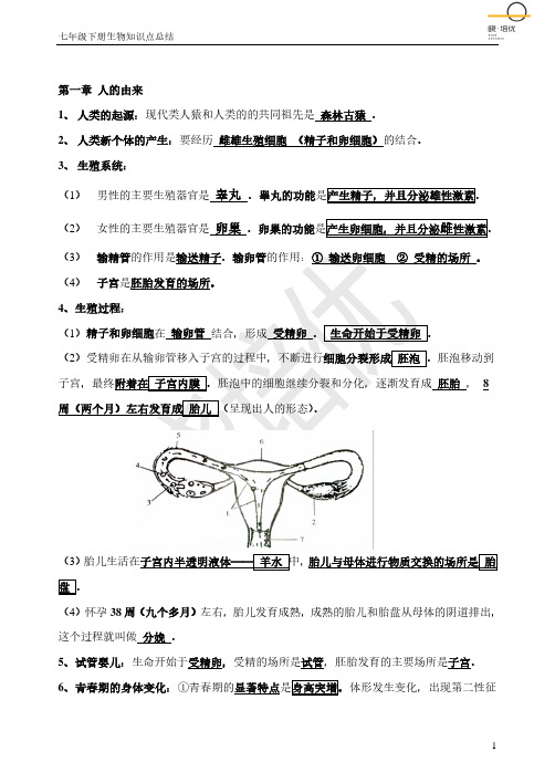 2020年生物七年级下册知识点汇总