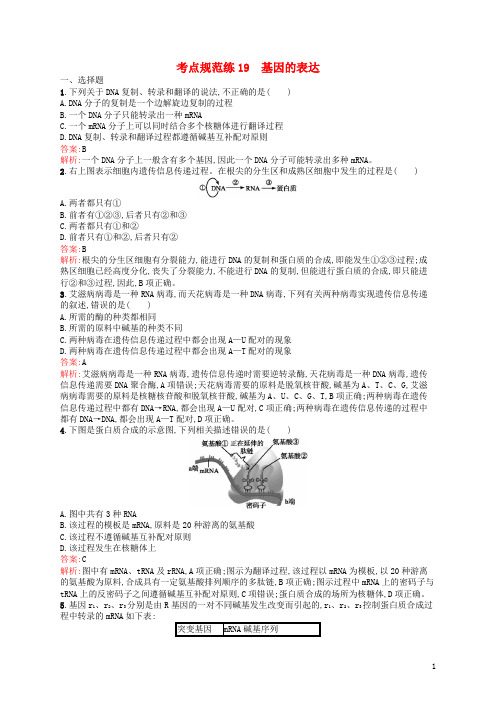 高优指导2017高三生物一轮复习考点规范练19基因的表达新人教版