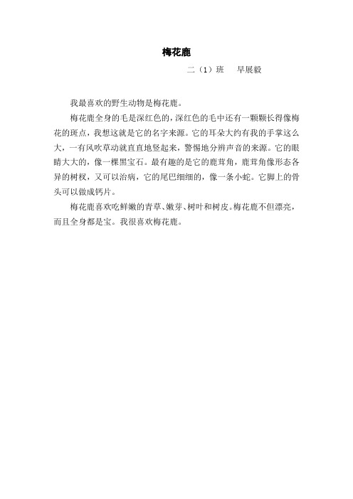 梅花鹿
