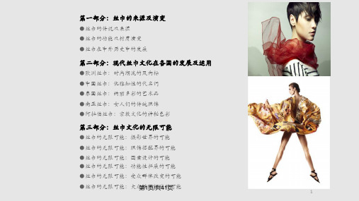 丝巾无限可能PPT课件