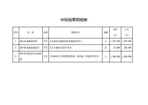 中标结果明细表【模板】