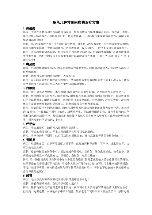 龟龟几种常见疾病的治疗方案