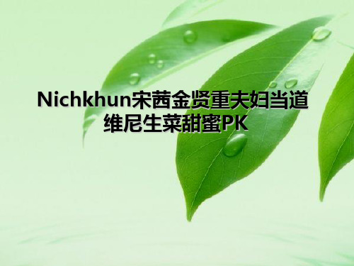 Nichkhun宋茜金贤重夫妇当道 维尼生菜甜蜜PK实用PPT文档