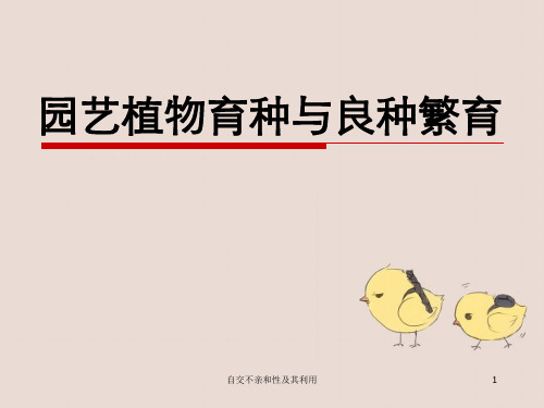 自交不亲和性及其利用