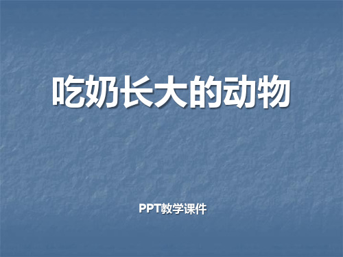 2016秋湘教版科学四上2.3《吃奶长大的动物》(1)PPT课件