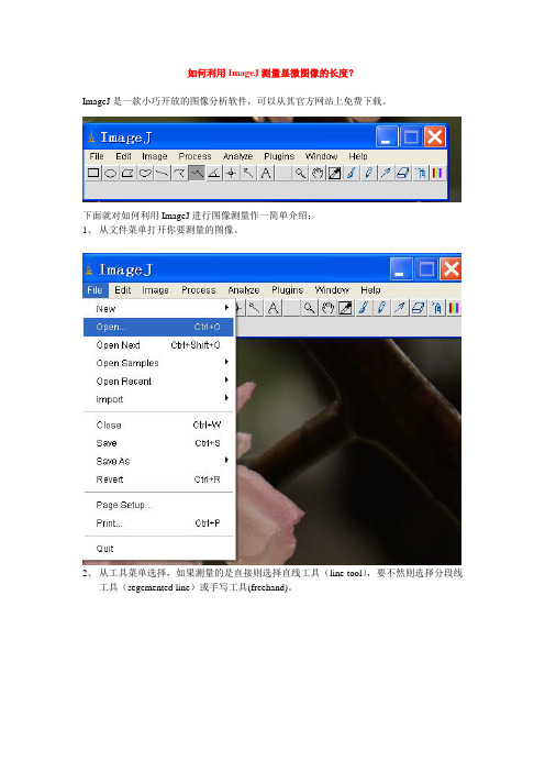 如何利用ImageJ测量显微图像的长度