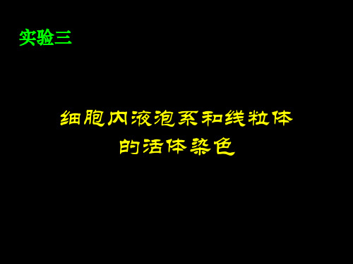 3、实验三 细胞内液泡系和线粒体的活体染色.ppt