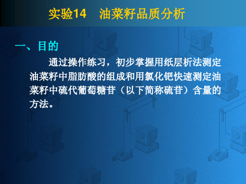 油菜籽品质分析