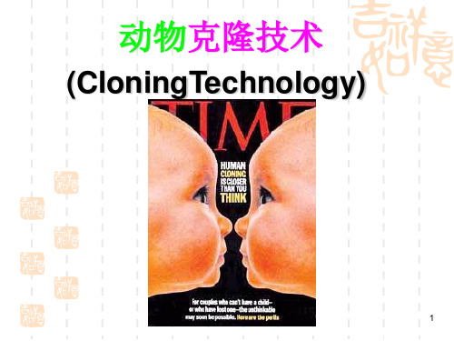 动物克隆技术ppt课件