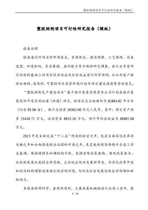 塑胶助剂项目可行性研究报告(模板)