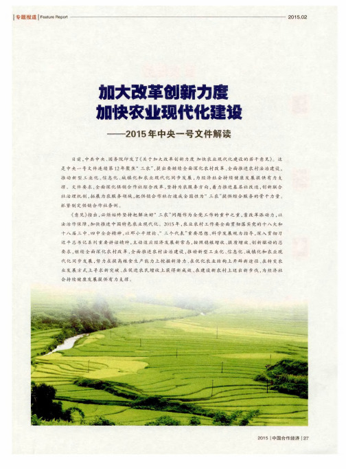 加大改革创新力度 加快农业现代化建设——2015年中央一号文件解读