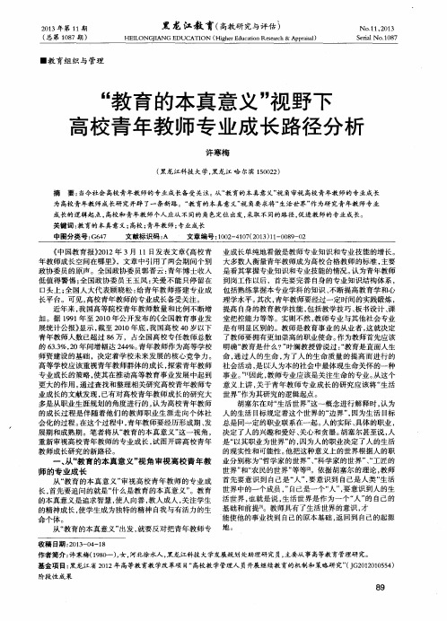 “教育的本真意义”视野下高校青年教师专业成长路径分析