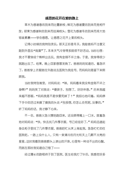 初三作文：感恩的花开在爱的路上作文800字
