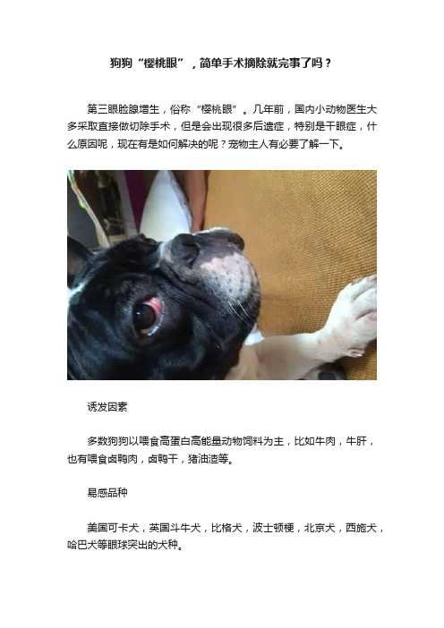 狗狗“樱桃眼”，简单手术摘除就完事了吗？