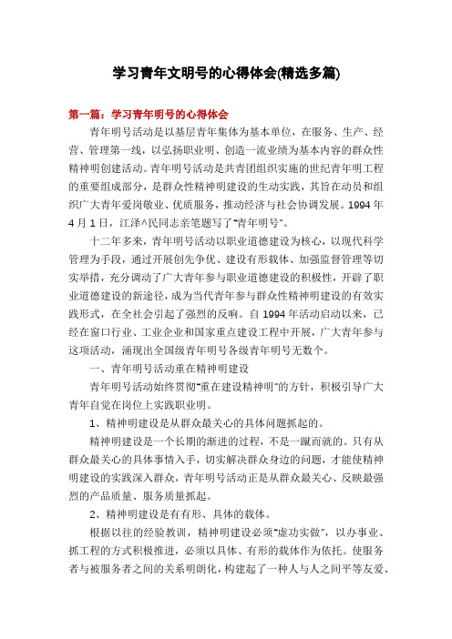 学习青年文明号的心得体会(精选多篇)