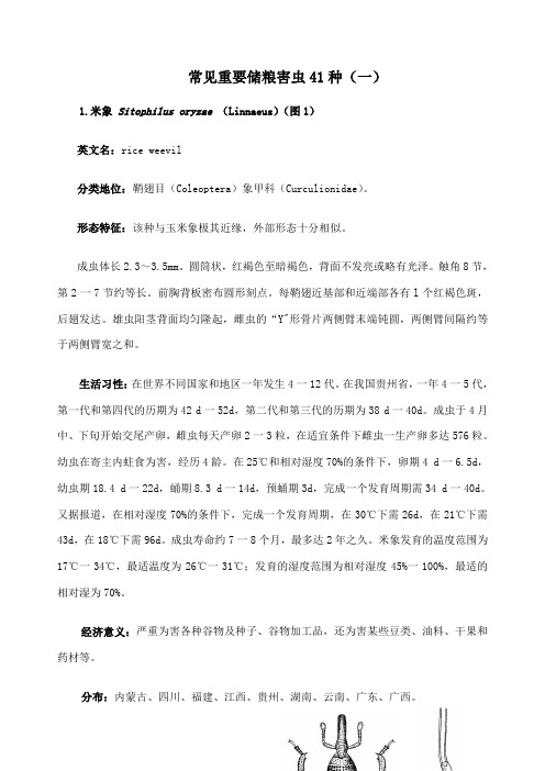 常见重要储粮害虫种