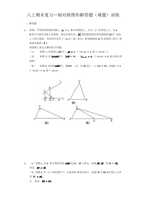 苏科版八年级数学上册期末复习轴对称图形解答题(难题)训练.docx