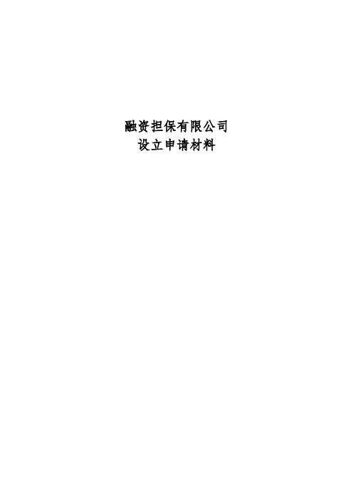 成立融资担保有限公司设立申请材料