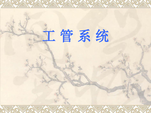 工 管 系 统课件PPT