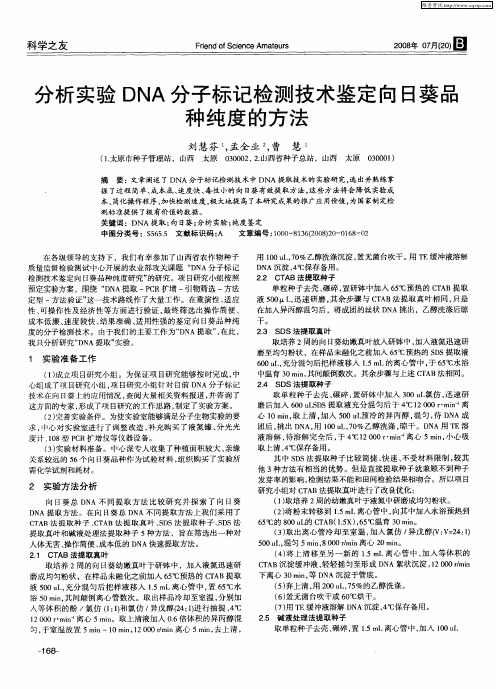 分析实验DNA分子标记检测技术鉴定向日葵品种纯度的方法