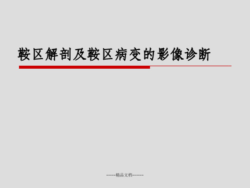 鞍区解剖及鞍区病变的影像诊断