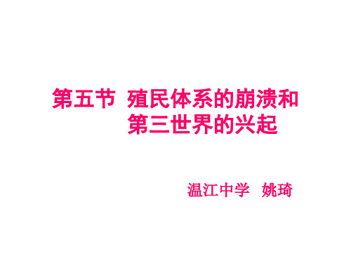 第三世界的兴起(正式)