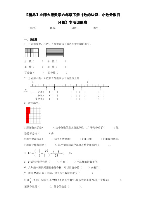 小学数学六年级下册《数的认识：小数分数百分数》专项训练卷(含答案解析)