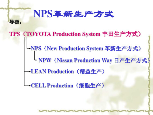 NPS简介