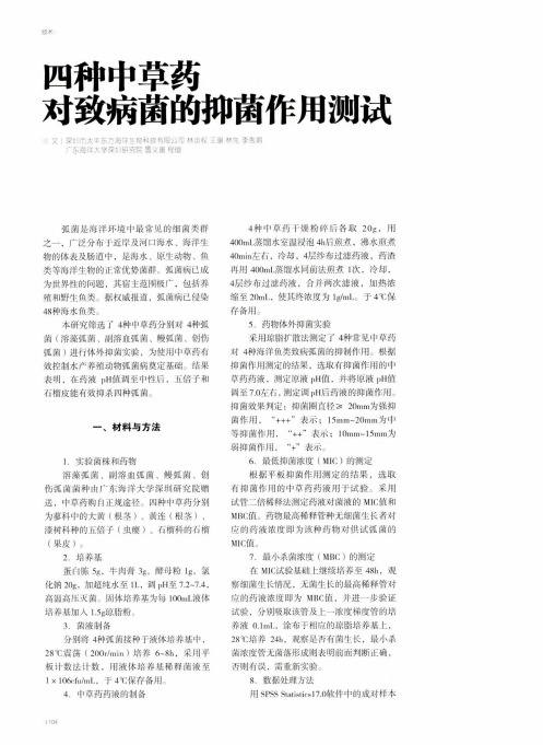 四种中草药对致病菌的抑菌作用测试
