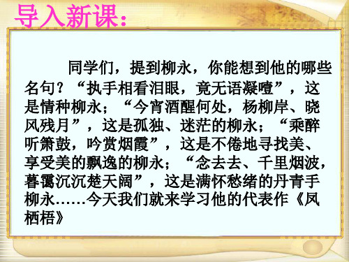 凤栖梧.柳永《凤栖梧》ppt课件