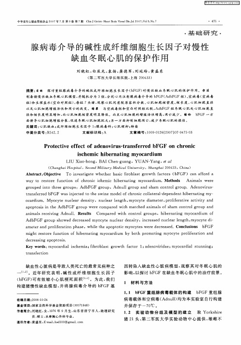 腺病毒介导的碱性成纤维细胞生长因子对慢性缺血冬眠心肌的保护作用
