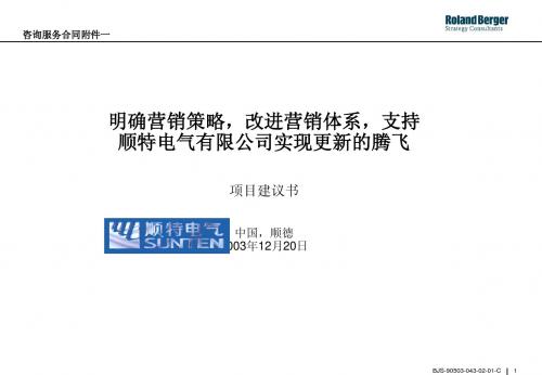罗兰贝格--顺特电气项目建议书
