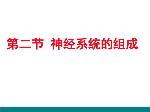 人教版生物七年级下册：4.6.2 神经系统的组成 课件 (共15张PPT)