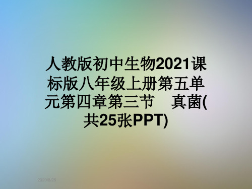 人教版初中生物2021课标版八年级上册第五单元第四章第三节 真菌(共25张PPT)