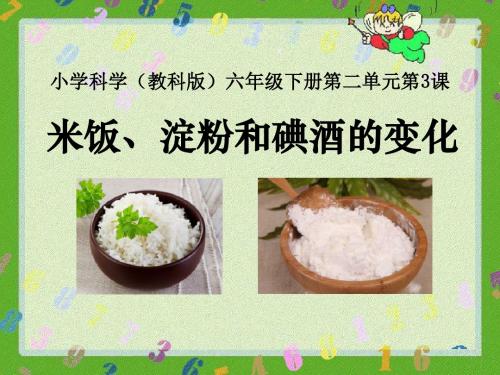 米饭、淀粉和碘酒的变化物质的变化   教学PPT课件